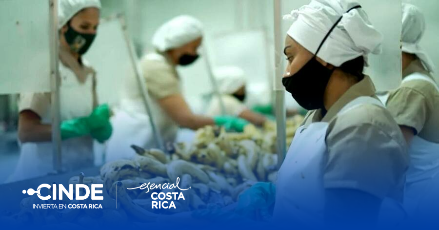 CINDE | Mexifrutas anuncia inversión de $5 millones en Siq...